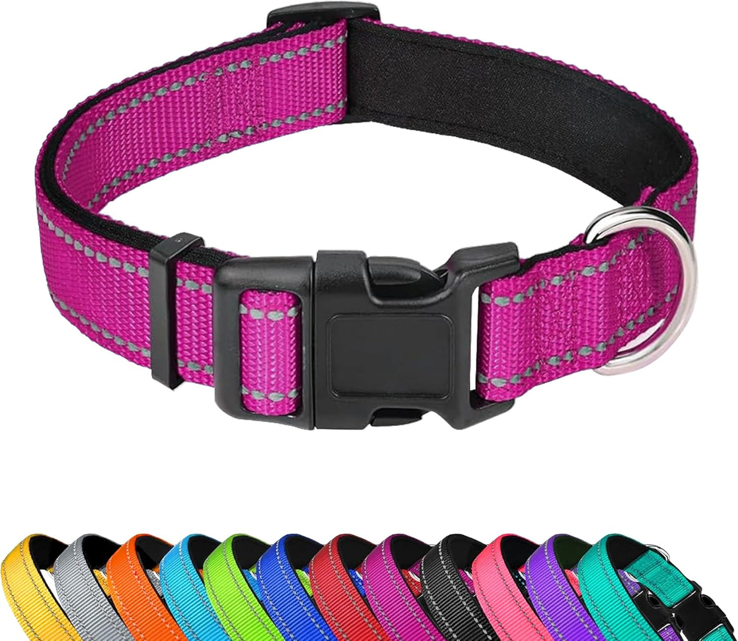 Custom Dog Collar