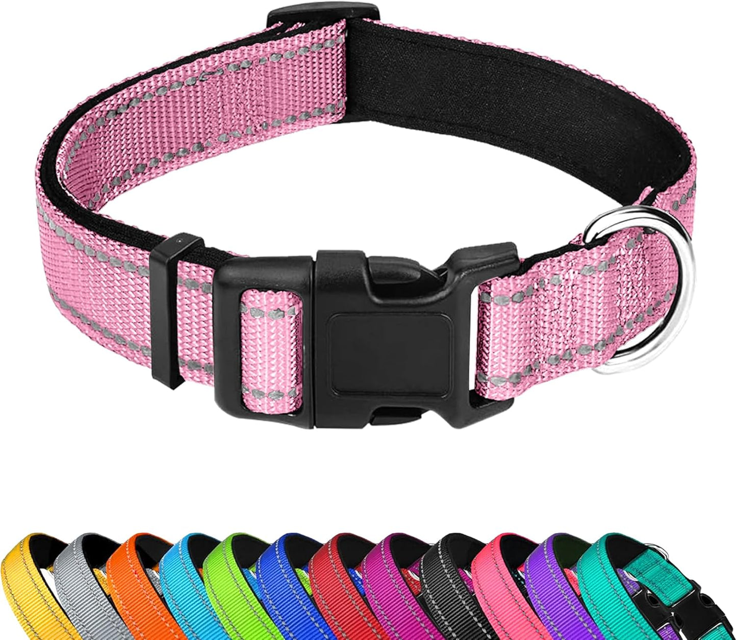 Custom Dog Collar