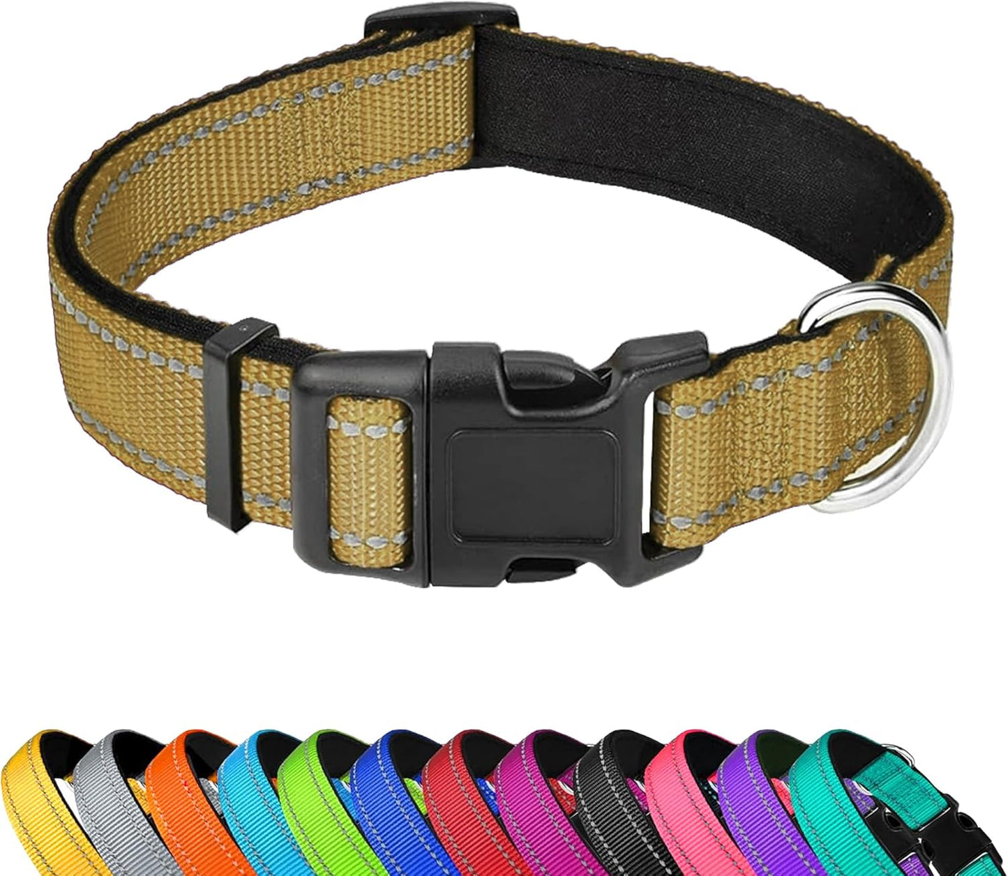 Custom Dog Collar