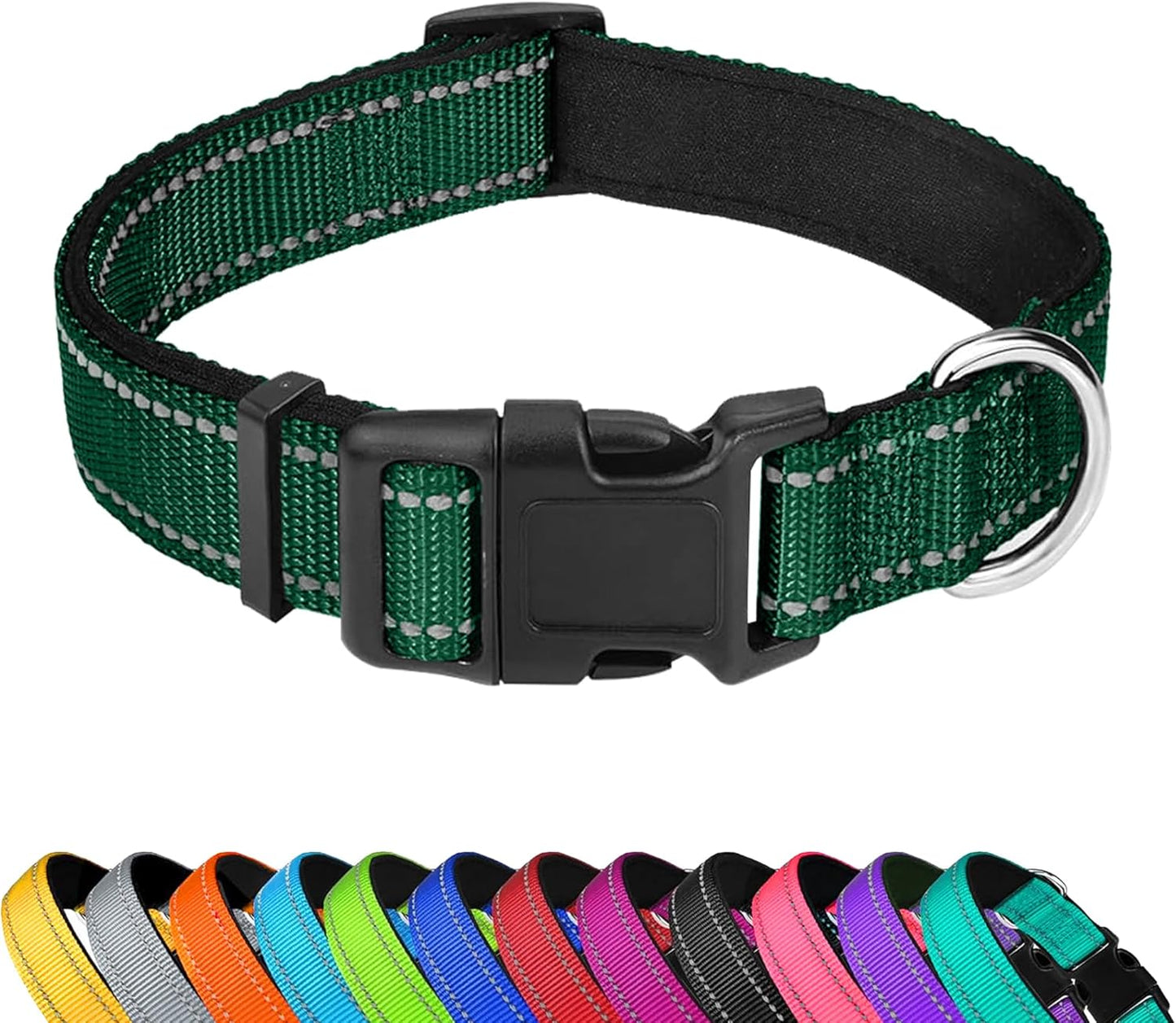 Custom Dog Collar