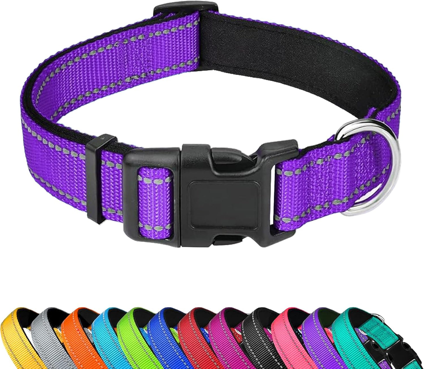 Custom Dog Collar