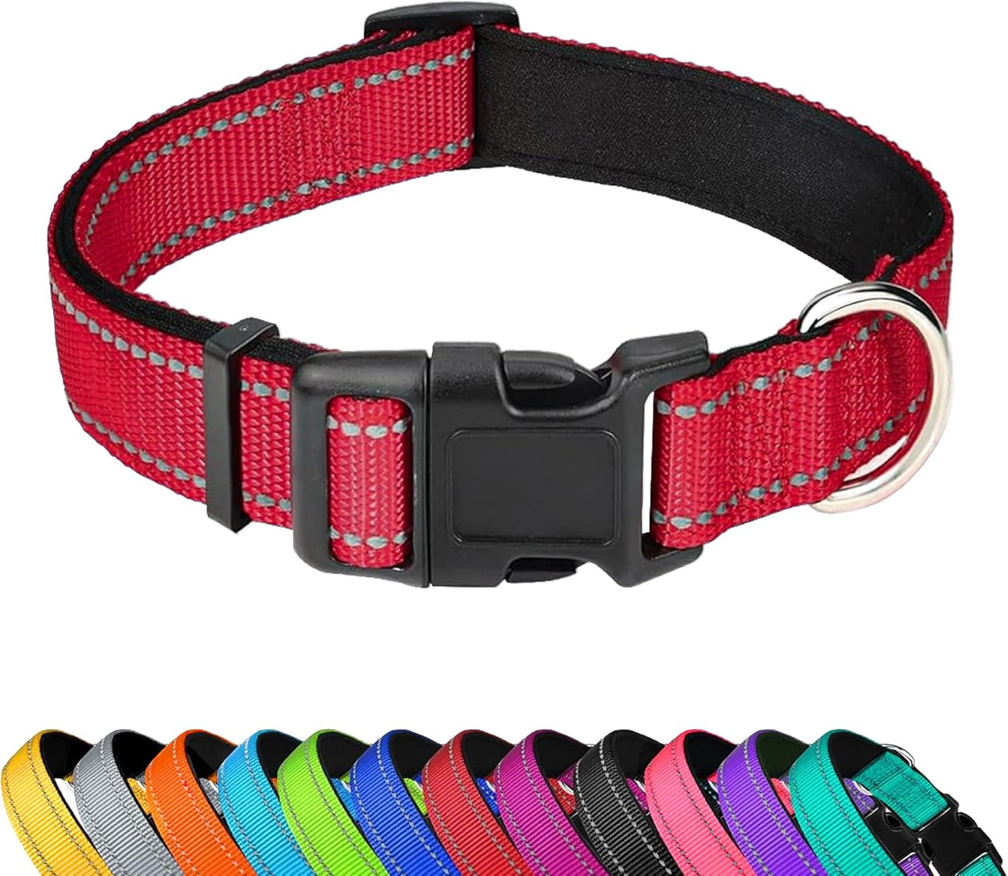 Custom Dog Collar