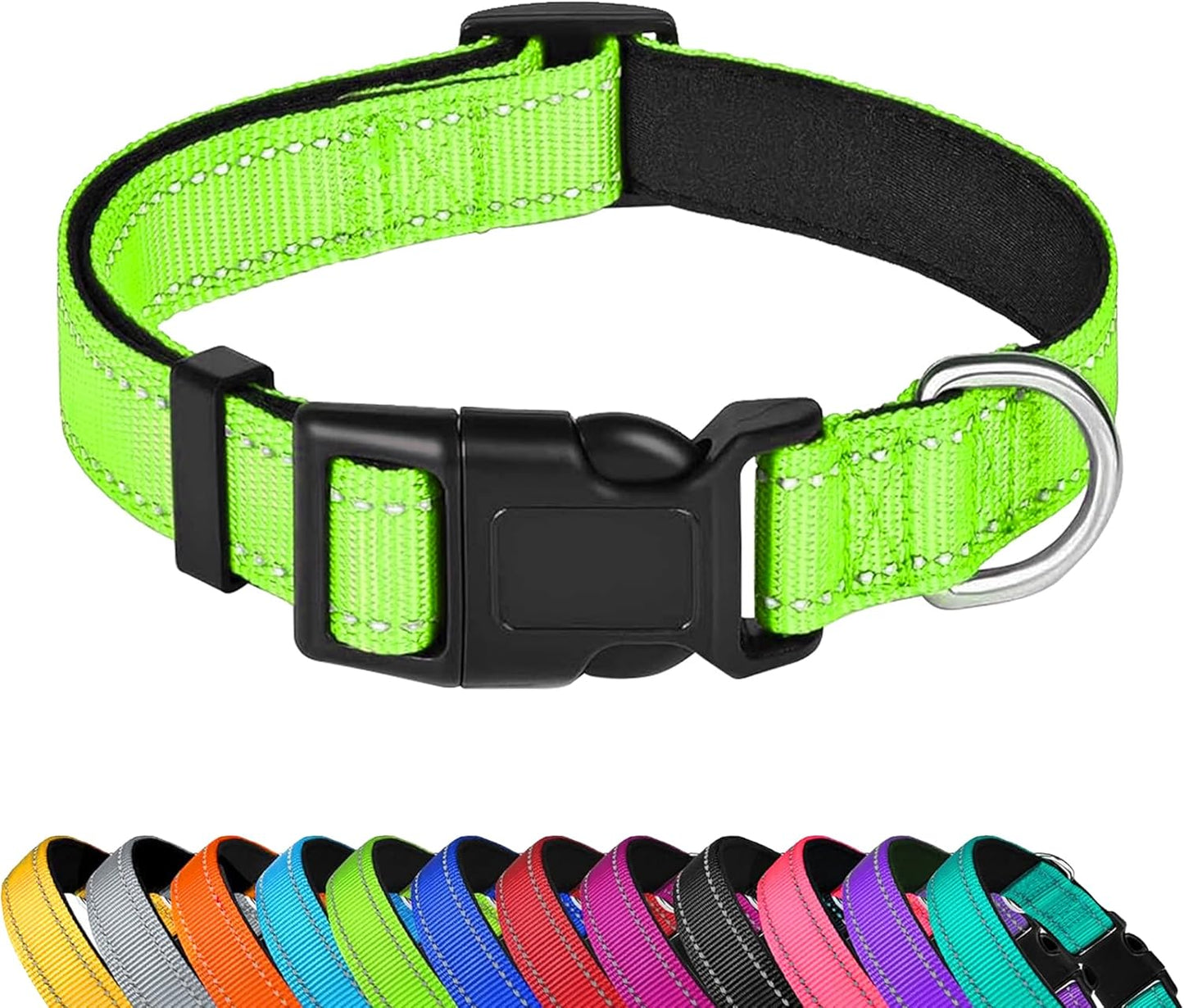 Custom Dog Collar