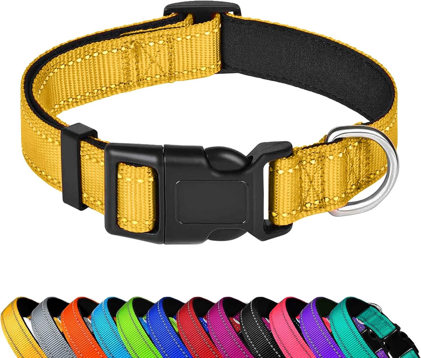 Custom Dog Collar