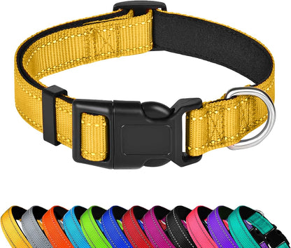 Custom Dog Collar