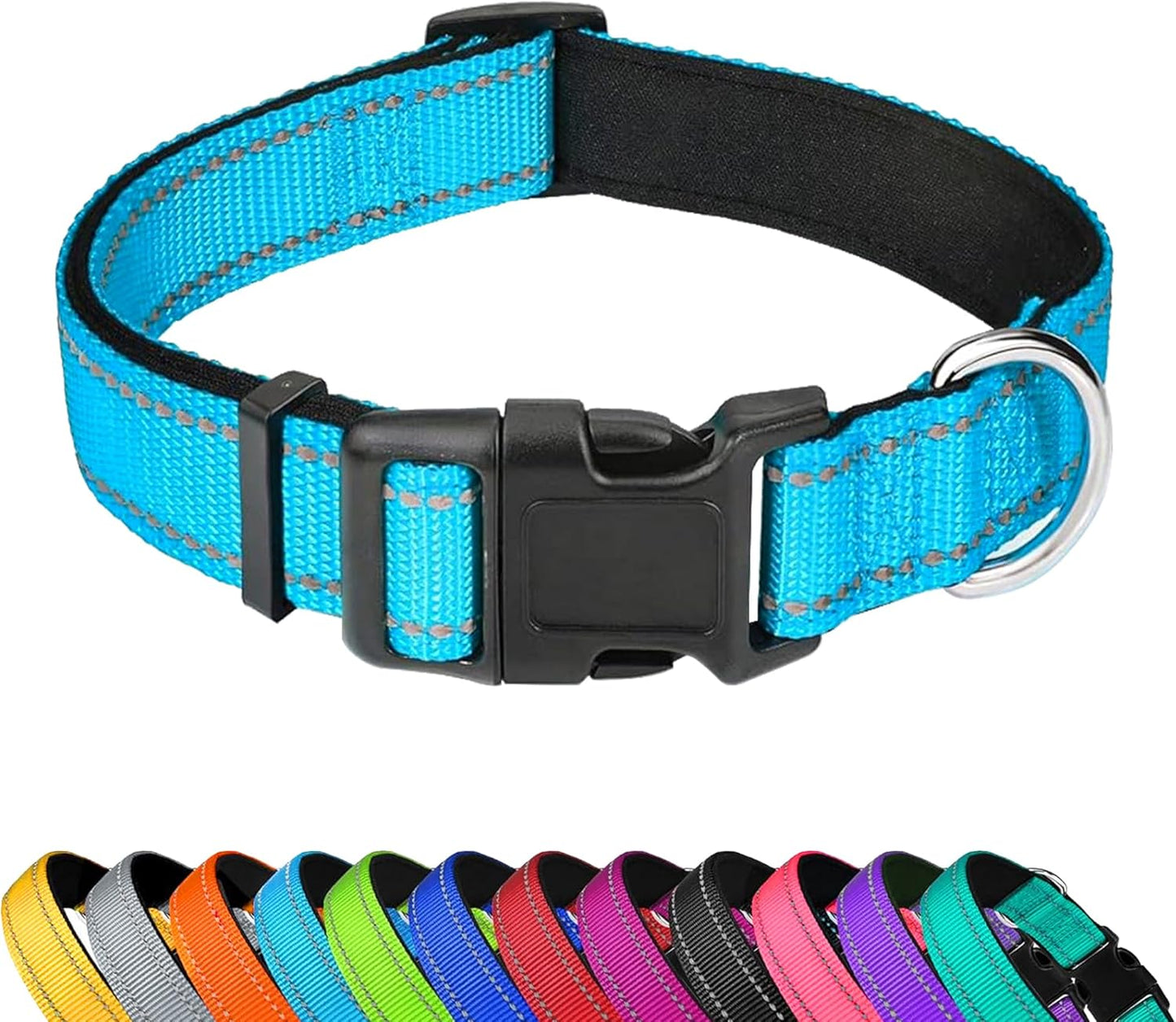 Custom Dog Collar