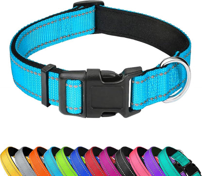 Custom Dog Collar