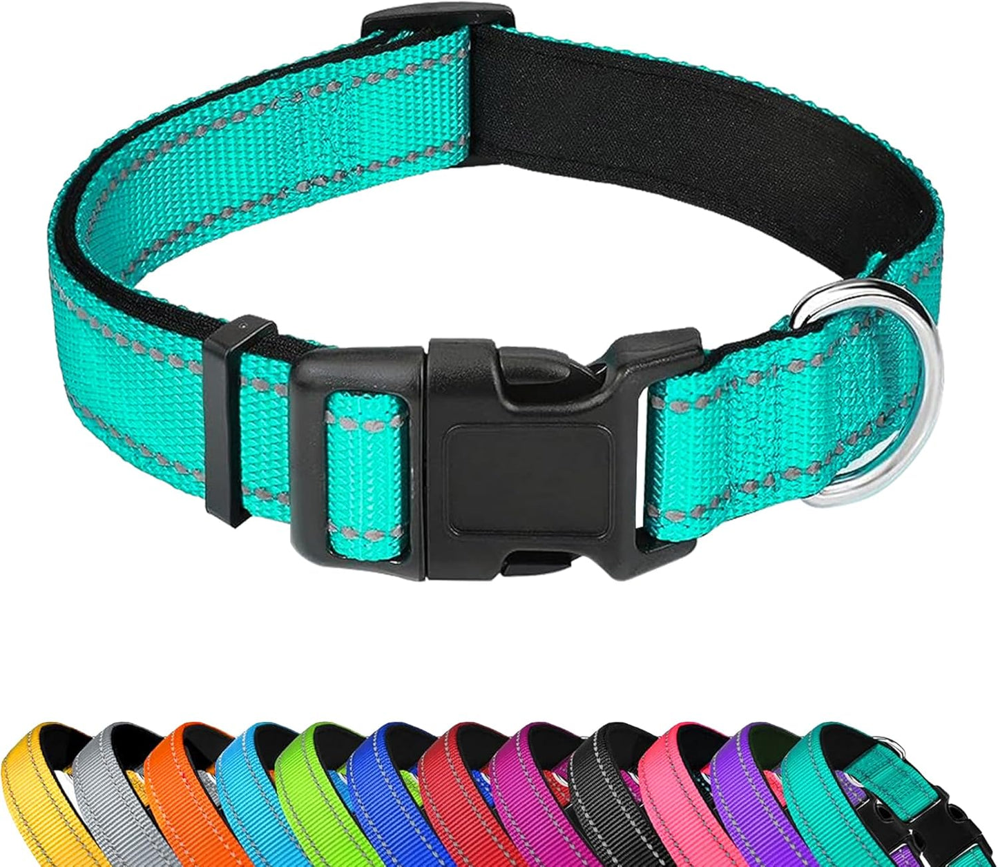 Custom Dog Collar