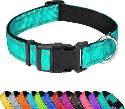 Custom Dog Collar