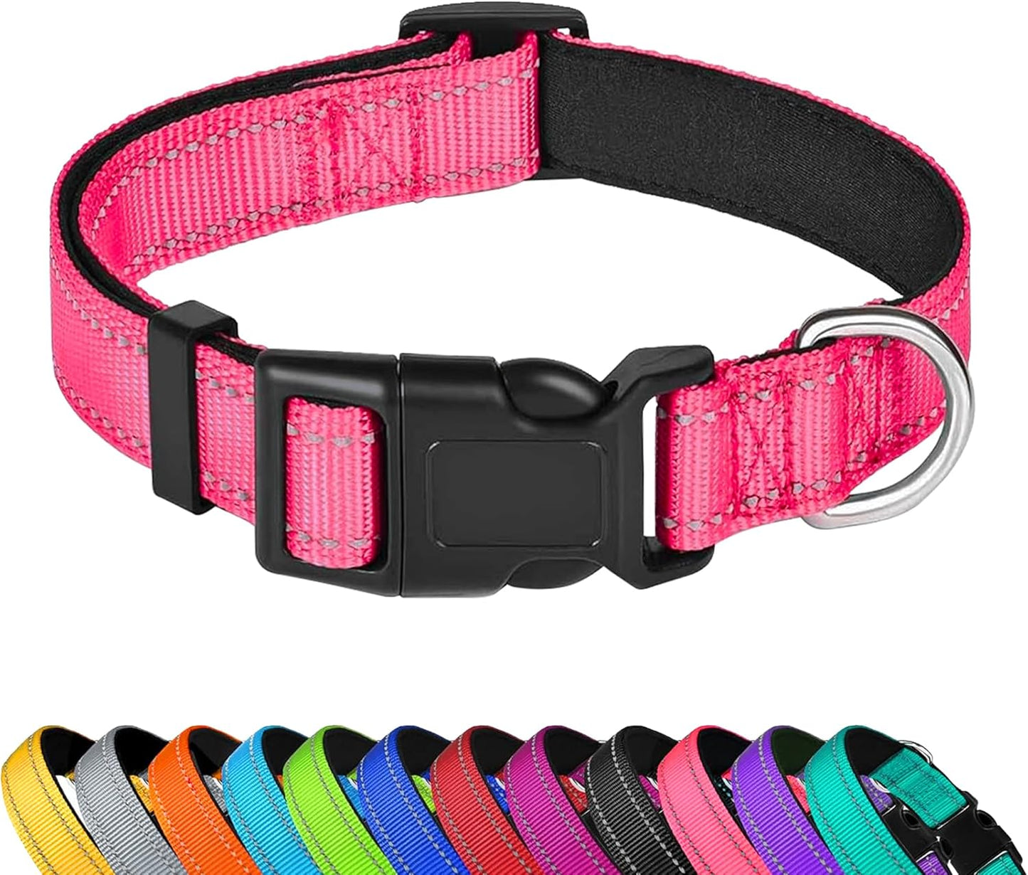 Custom Dog Collar