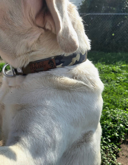 Custom Dog Collar with Owner's Photo